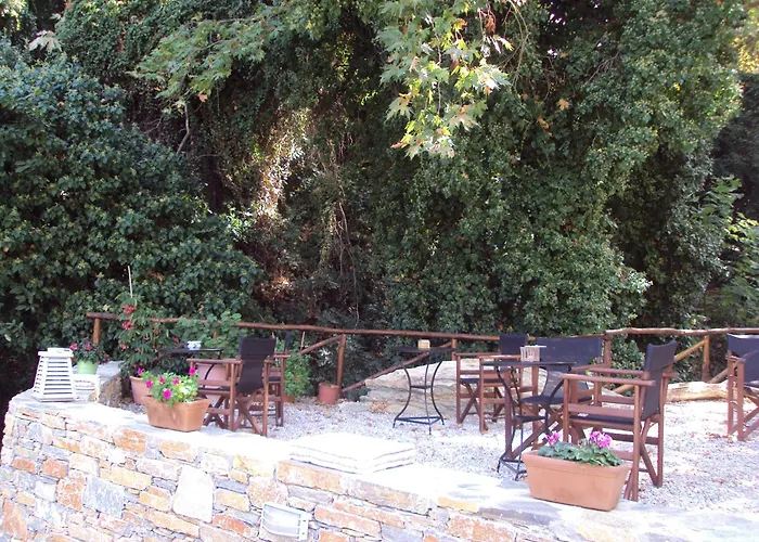 Vergopoulos Oliveyard