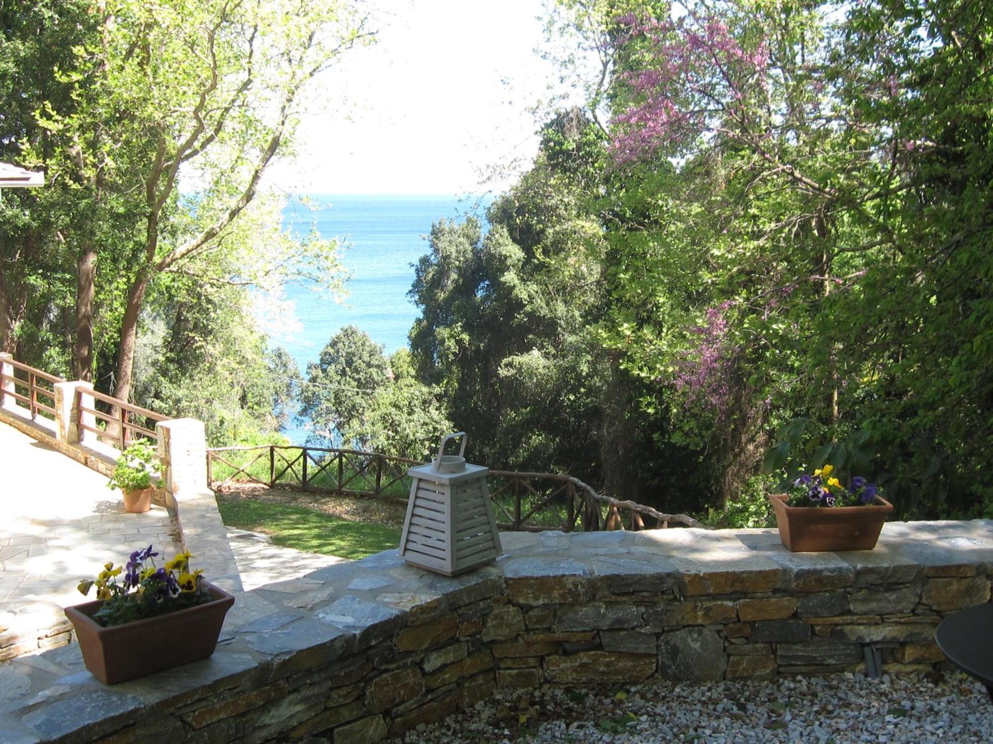 Vergopoulos Oliveyard