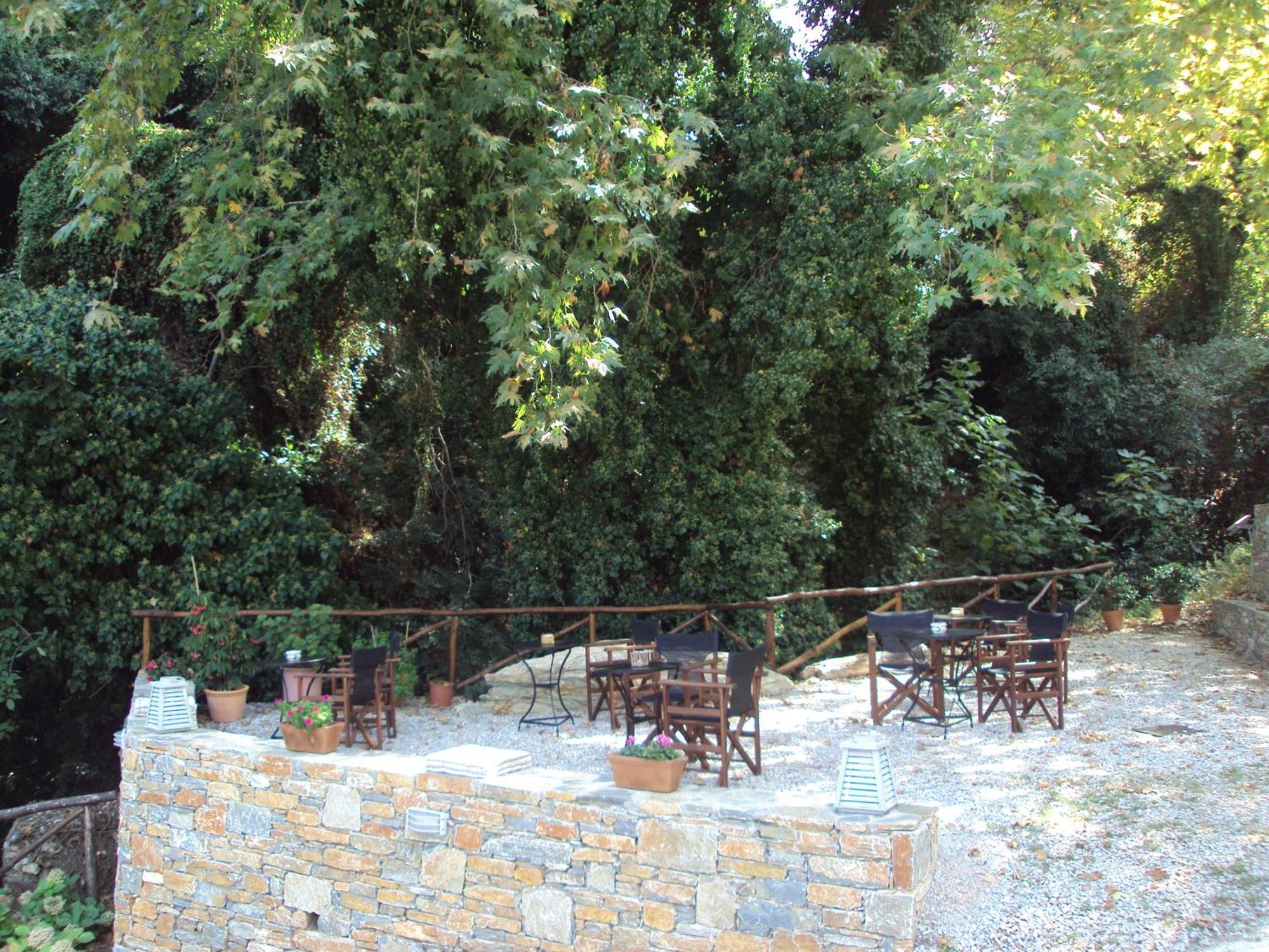 Vergopoulos Oliveyard 5* Mourésion