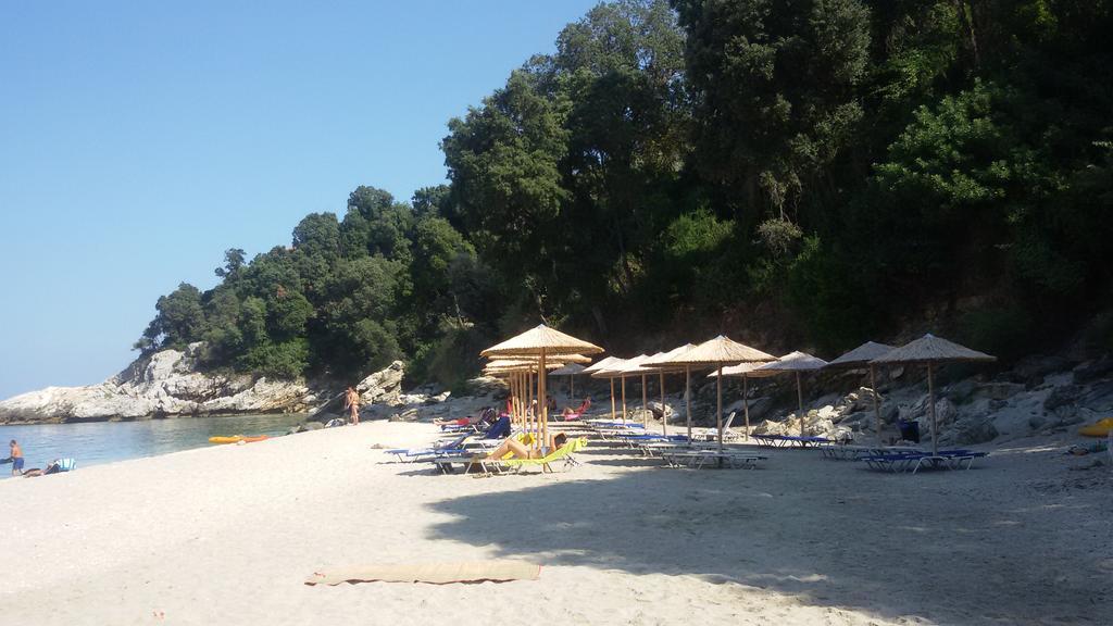 Pensión Vergopoulos Oliveyard